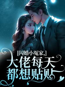 闪婚小冤家，大佬每天都想贴贴小说阅读，闪婚小冤家，大佬每天都想贴贴完结版