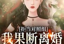 拒当对照组，我果断离婚逃离渣夫小说的无弹窗阅读体验，寻找免费阅读网站-胖达文学