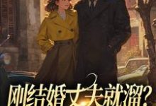 无删减版《刚结婚丈夫就溜？姐真不吃人！》免费阅读-胖达文学