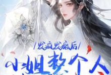 《发疯发癫后，小姐整个人都美好了》小说主角沈昭宁宋文轩免费在线阅读-胖达文学