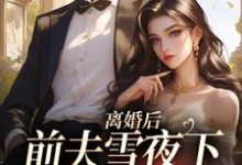 无删减版《离婚后，前夫雪夜下跪求回头》章节目录在线阅读-胖达文学