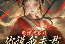 无删减版《改嫁成寡妇，你说我夫君又复活了？》全章节阅读-胖达文学