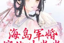 无删减版《海岛军婚：嫁他生崽崽》全章节阅读-胖达文学