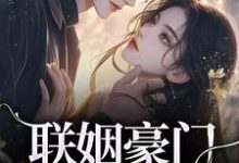 无删减版《联姻豪门继承人后，我逃婚了！》全章节阅读-胖达文学